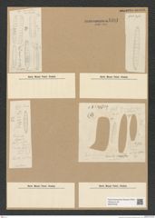 Diatomeae indet. Zeichnungen Sammlung Grunow Nr. 4401 (NHMW-BOT-W0379708)